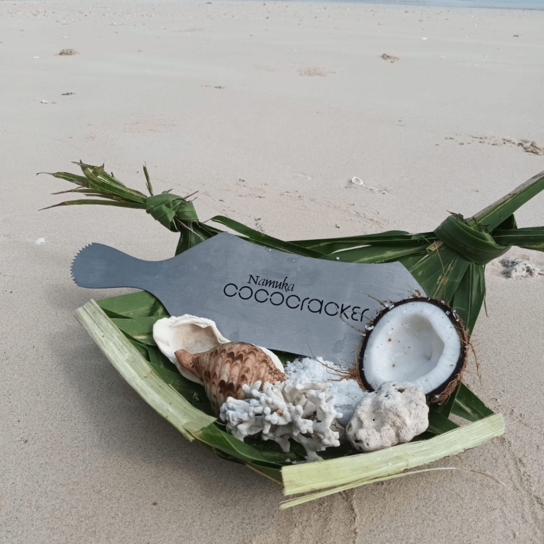 Coconut Bowls Dessert